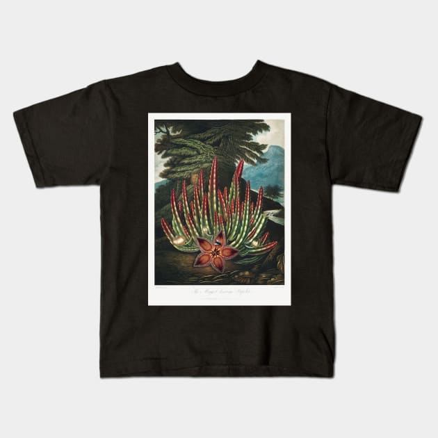 The maggot bearing Stapelia Kids T-Shirt by Cleopsys